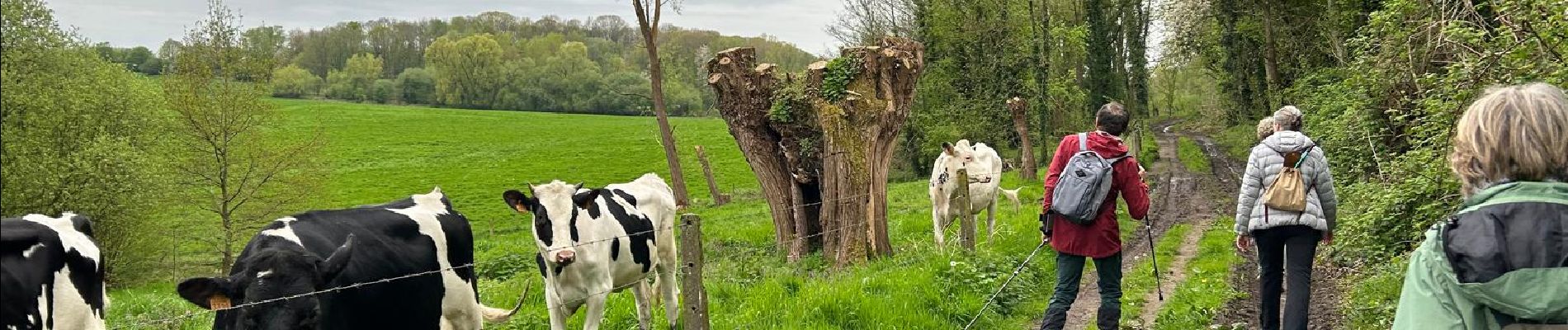 Trail Walking Ottignies-Louvain-la-Neuve - #240412 - 3 bois : de Bustons, des Corbeaux et des Volontaires (courte) - Photo