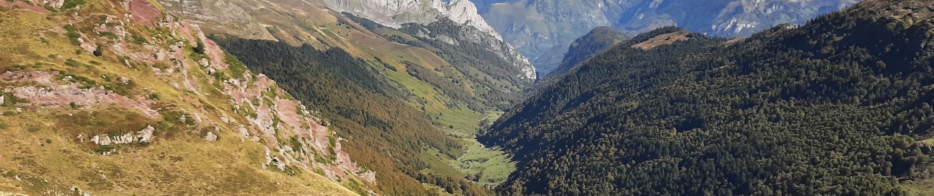 Tocht Stappen Borce - Boucle du lac d'Arlet  - Photo