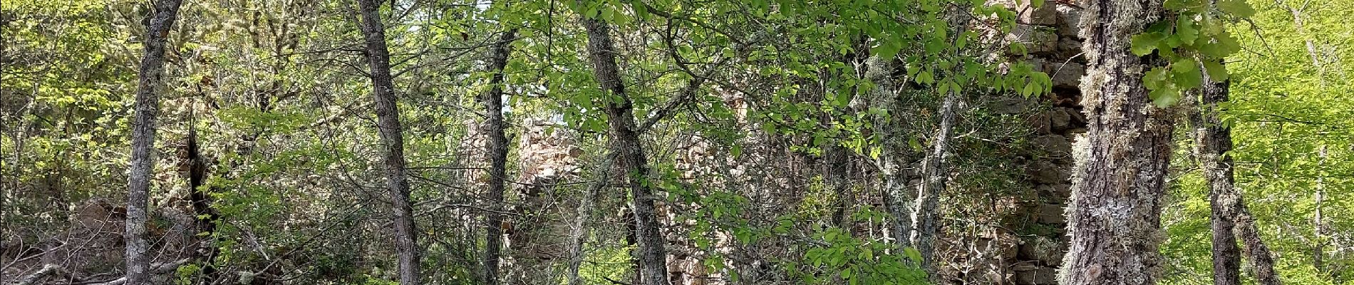 Tour Wandern Gréoux-les-Bains - Les Tronnes  - Photo