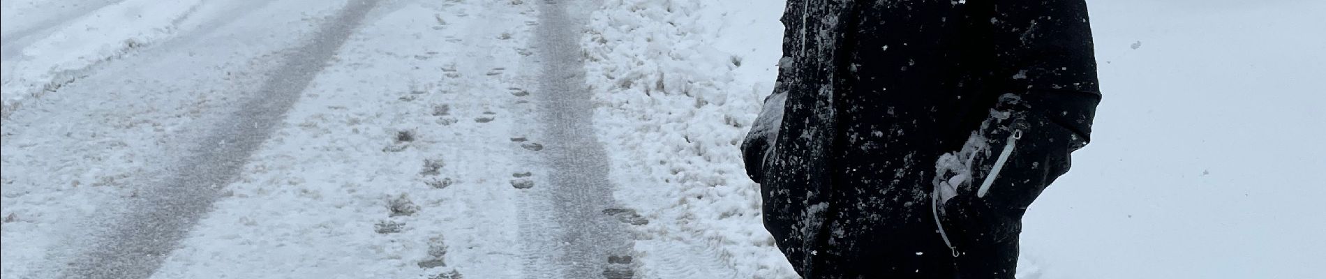 Randonnée Marche Bullange - Neige - Photo