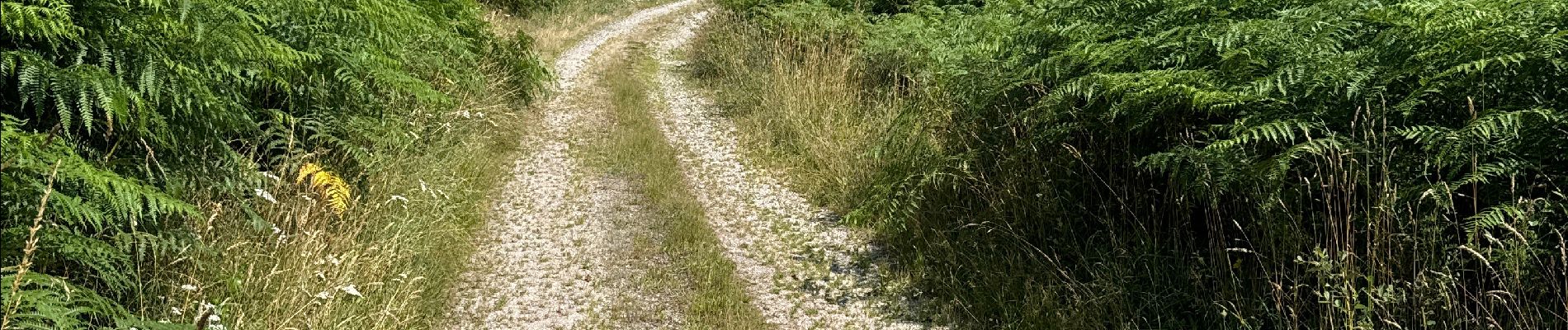 Tocht Stappen Soudeilles - F 2024 puy de la tourte Soudeilled - Photo