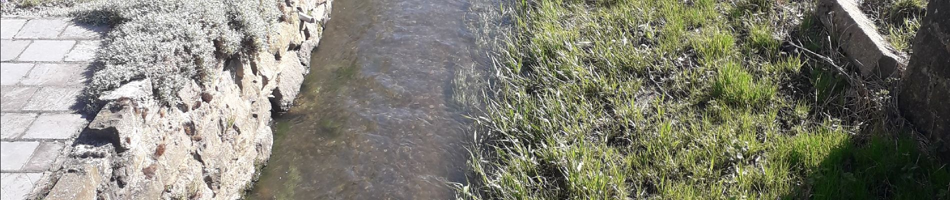 Tocht Stappen Mettet - RB Namur 23 Biesmerée  - Photo