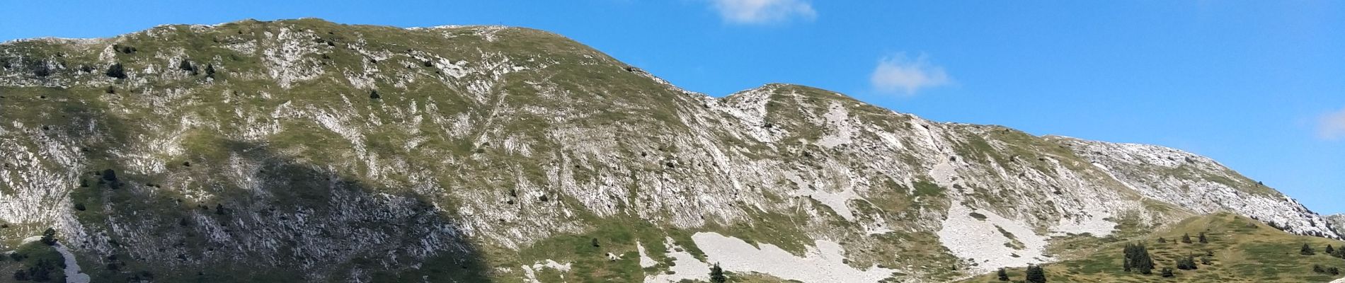 Trail Walking Saint-Pierre-de-Chartreuse - La Grande Sûre - Photo