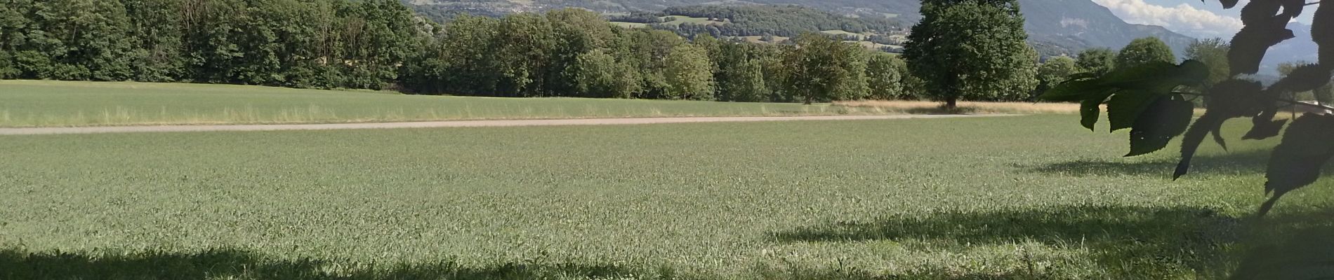 Tocht Stappen La Biolle - La Biolle  - Photo