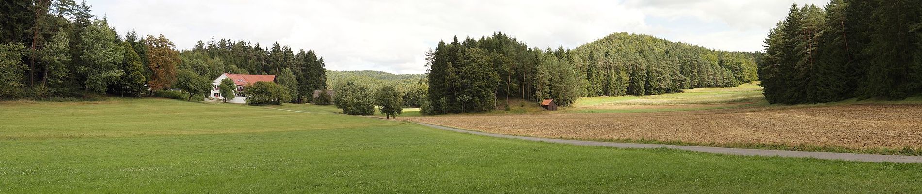 Percorso A piedi Hirschbach - Eschenfelden Rundweg 4 - Photo