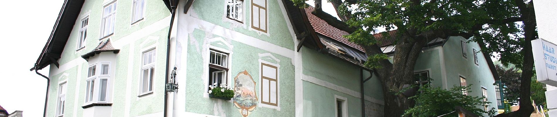 Percorso A piedi Gemeinde Kirchberg am Wechsel - Wanderweg Saurücken - Photo