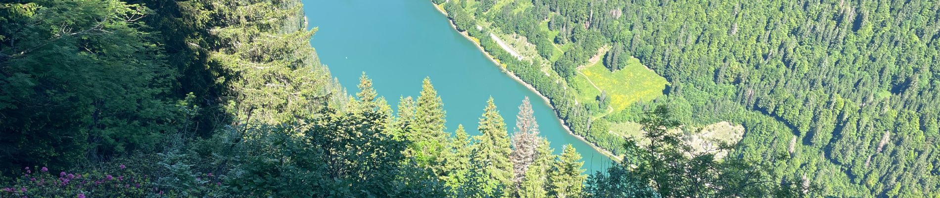 Tour Wandern Morzine - Joue verte Montriond - Photo