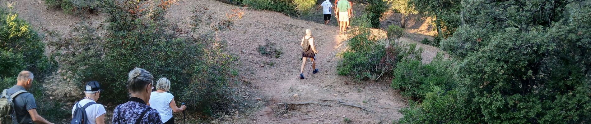 Randonnée Marche Roquebrune-sur-Argens - La Bouverie - Photo