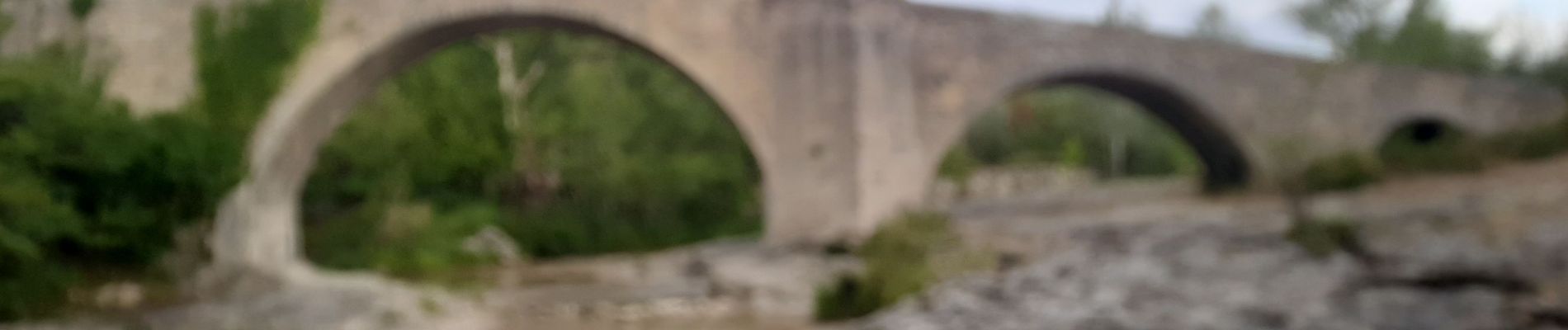 Tocht Stappen Mane - MANE  , pont romain  , chapelle S Jean et chapelle Châteauneuf  o l s  - Photo