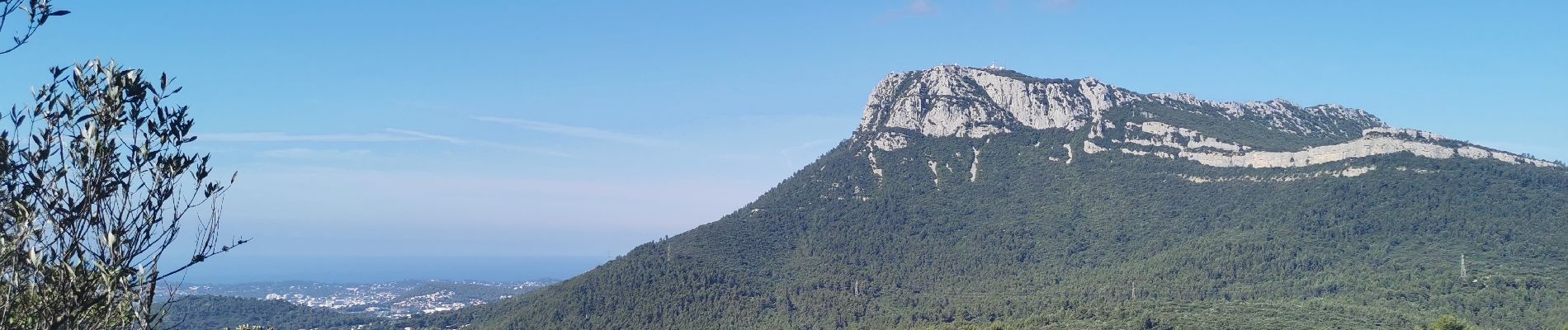 Randonnée Marche La Farlède - De La farlède au plateau de Mourras - Photo