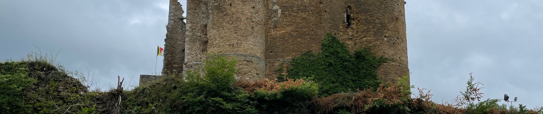 Randonnée Marche Theux - Franchiront petit tour - Photo