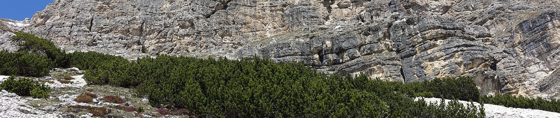 Trail On foot Corvara in Badia - Corvara - IT-4A - Photo