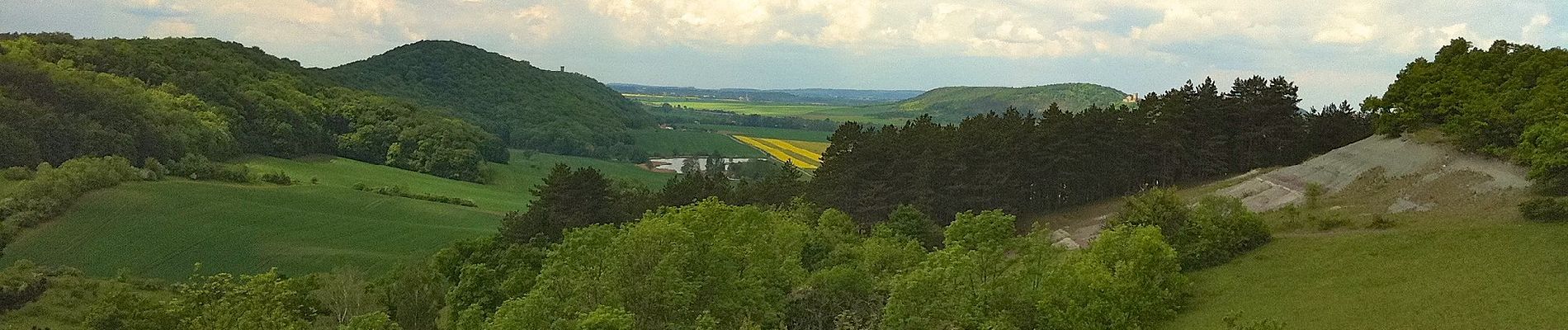 Tocht Te voet Arnstadt - Otto-Knöpfer-Weg - Photo