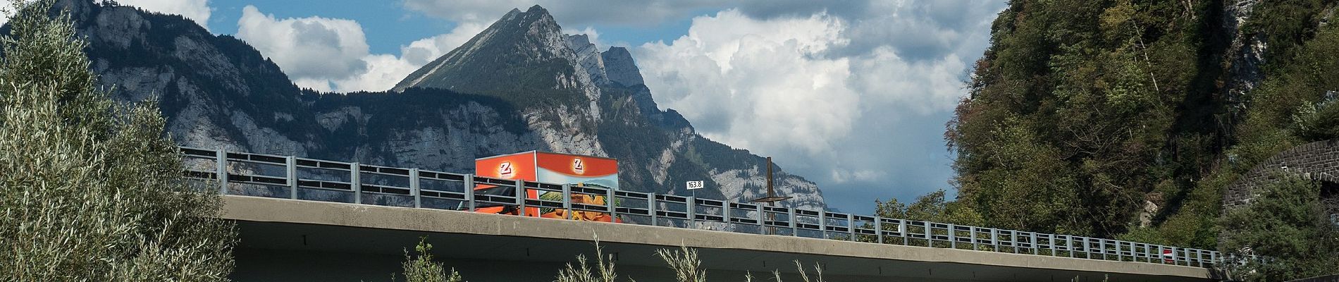 Percorso A piedi Glarus Nord - Linthmündung - Mülital - Photo