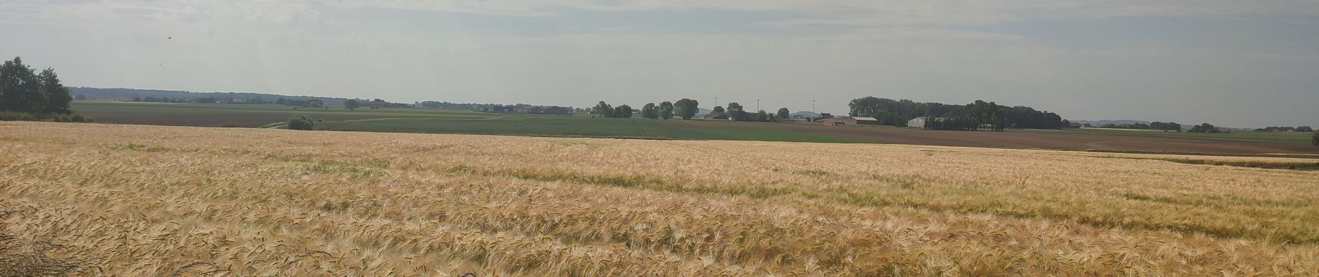 Tocht Stappen Vleteren - West-Vleteren  - Photo