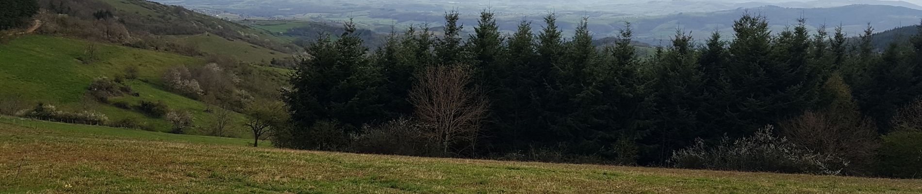 Tour Wandern Ville-sur-Jarnioux - montmelas.vaux en beaujolais - Photo