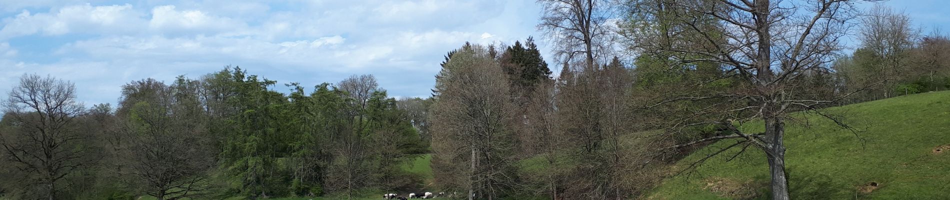 Tocht Stappen Clavier - Odet - Hoyoux - Photo