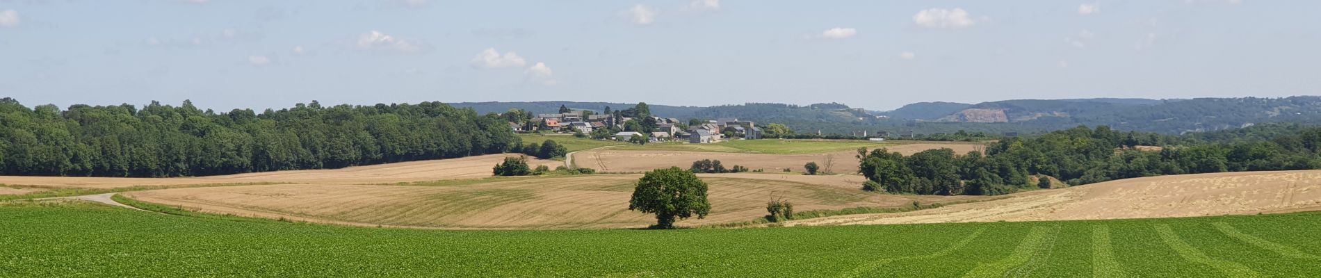 Excursión Senderismo Anhée - De Haut-le-Wastia à Salet - Photo