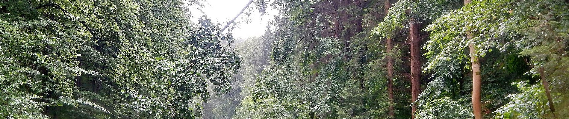 Tour Zu Fuß Herrenberg - Blauer Balken - Photo