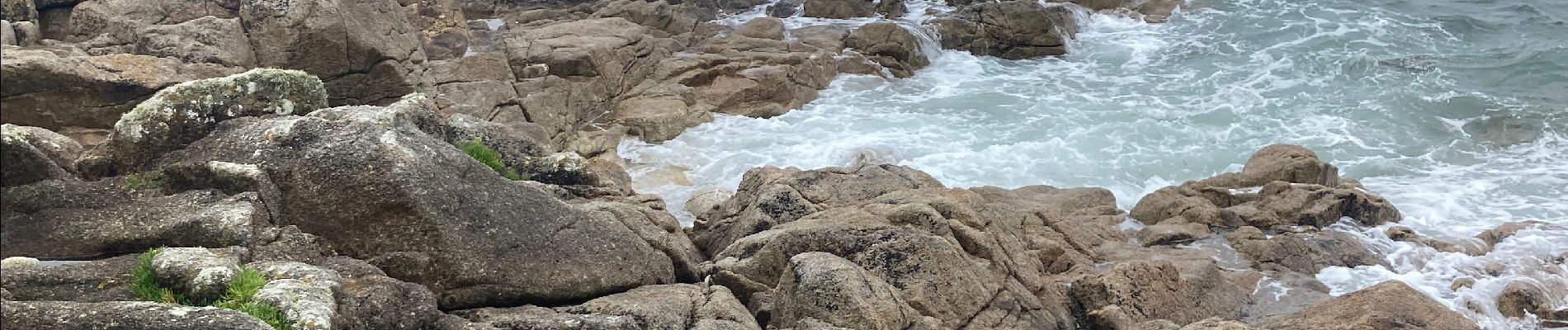 Tocht Stappen Plobannalec-Lesconil - Lesconil - Photo