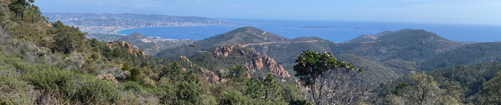 Percorso Mountainbike Les Adrets-de-l'Estérel - Esterel 3 : Fait 02/04/23 petit tour tranquille par DFCI  - Photo