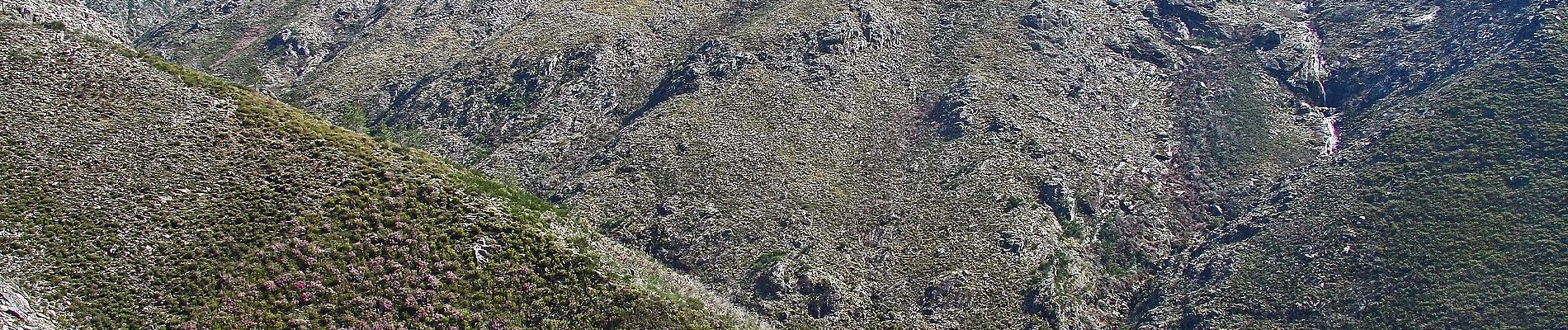 Excursión A pie Entre Ambos-os-Rios, Ermida e Germil - Trilho de Entre Ambos-os-Rios à Ermida - Photo