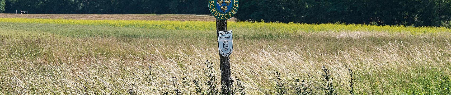 Tour Zu Fuß Gemeinde Weiden an der March - Biberweg - Photo