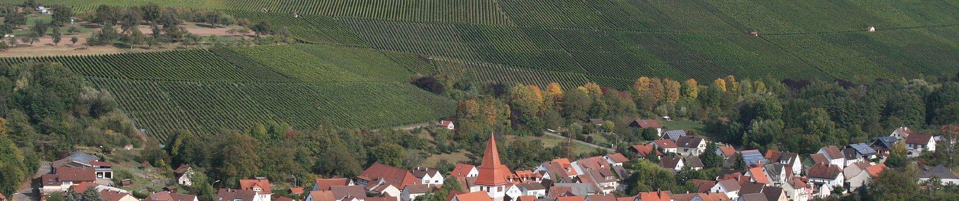 Tocht Te voet Bretzfeld - Herrenhölzle Rundweg 1 - Photo