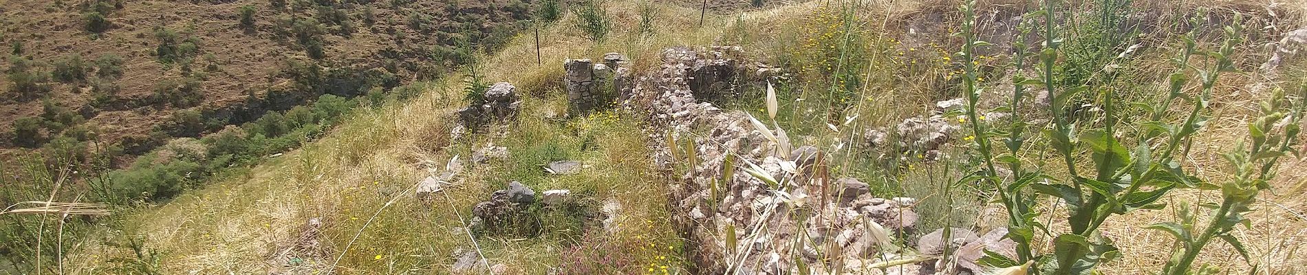 Trail On foot Emek Izrael Regional Council - Basalt Canyon - Tabor Stream - Photo