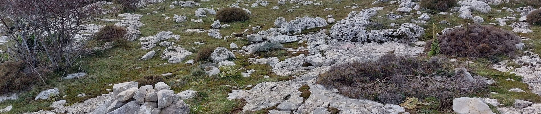 Tour Wandern Gourdon - gourdon derniere - Photo