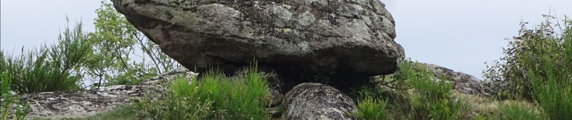 Tour Wandern Olloix - de Olloix à Champeix - Photo