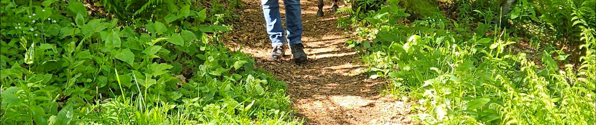 Randonnée Marche Xonrupt-Longemer - 2024 RA Vosges J1 Rando âne sur les crêtes - Photo