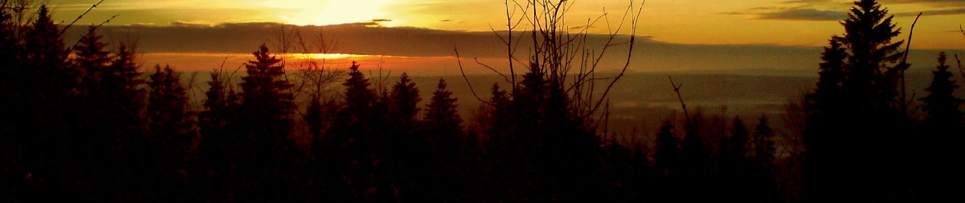 Randonnée A pied Sonneberg - Rund um den Schönberg - Photo