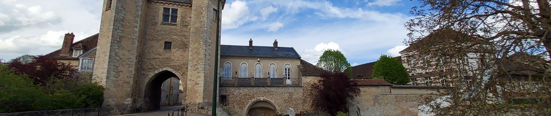 Excursión Bici de carretera Paron - 142 S85 Villeneuve sur Yonne-01 - Photo