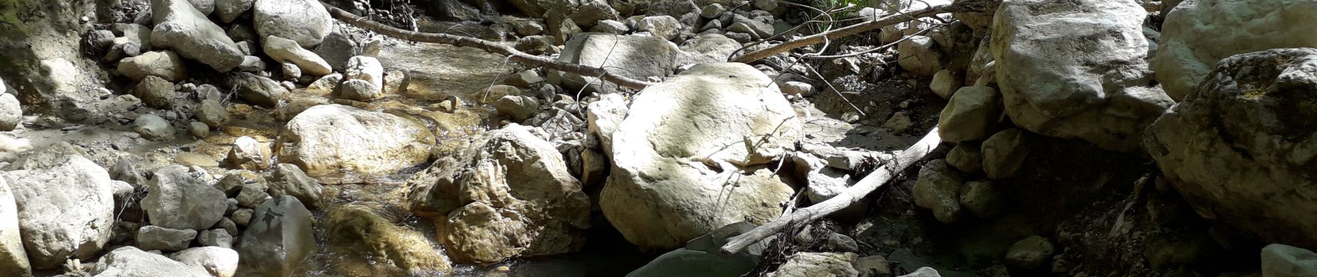 Excursión Senderismo Le Châtelard - les maîtres du mont - Photo