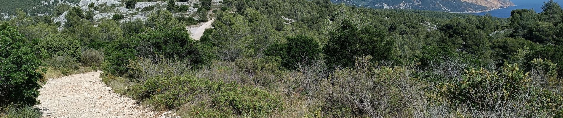 Tour Wandern Marseille - Rando à l'En Veau - Photo