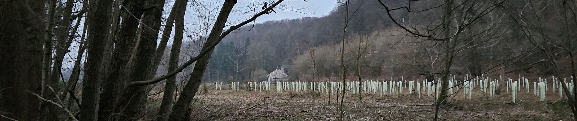 Trail Walking Blegny - A la découverte de Trembleur 🥾 - Photo