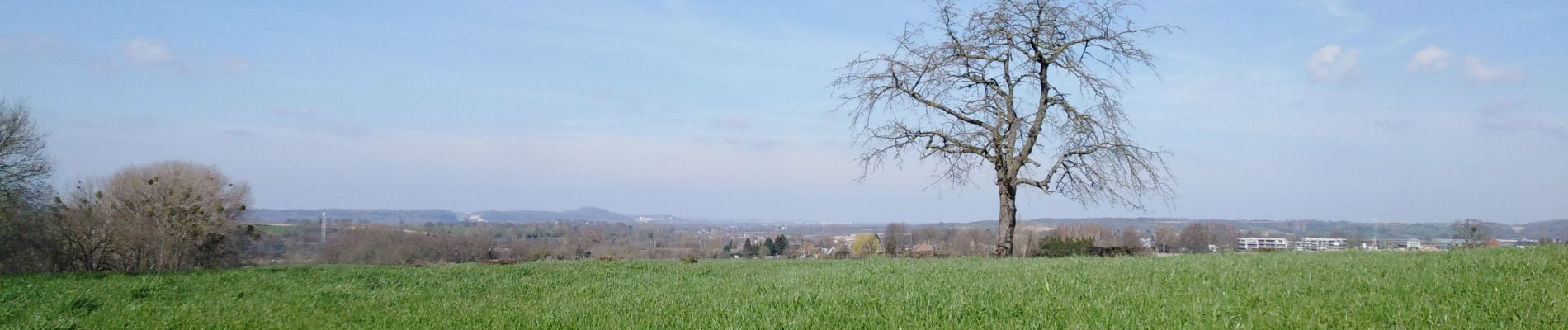 Tocht Stappen Dalhem - dalhem 2 - Bombaye  - Photo