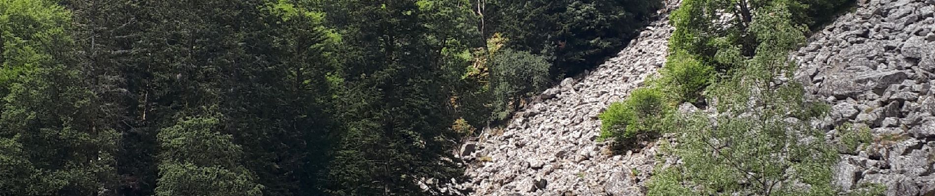 Tour Wandern Le Valtin - Le Sentier des Roches - Photo