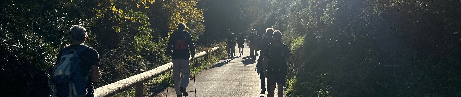 Tour Wandern Le Castellet - Le BRÛLÂT - Photo