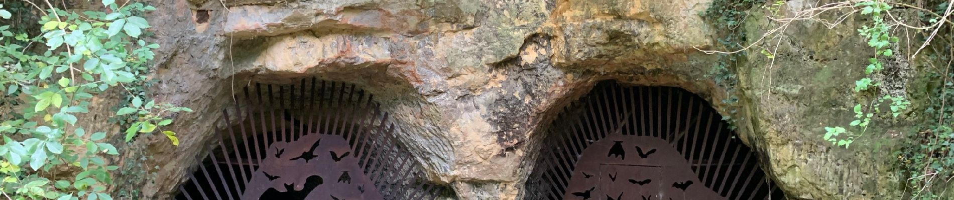 Tocht Stappen Heers - Les grottes de Henisdaal à Vechmaal - Photo