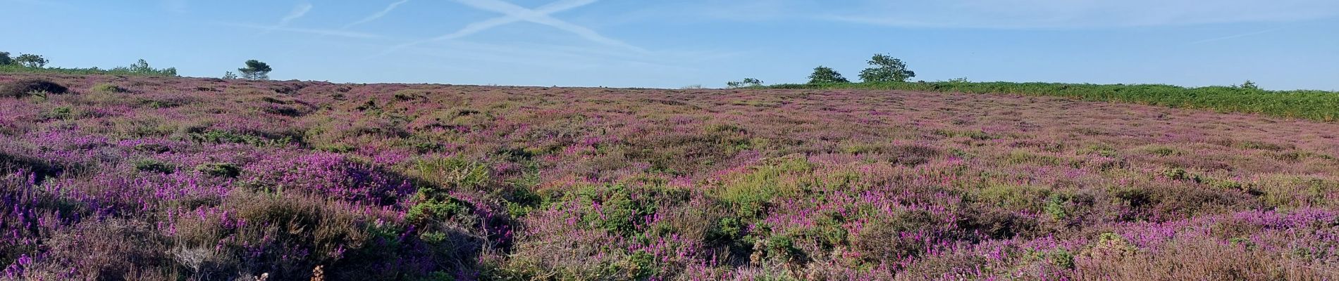 Randonnée Marche Plévenon - BOUCLE DEPUIS PLENEVON AVEC CAP FREHEL ET FORT LA LATTE - Photo