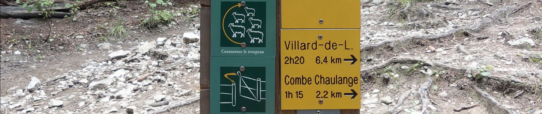 Tour Wandern Villard-de-Lans - Le Pic Saint-Michel (Villard-de-Lans) - Photo