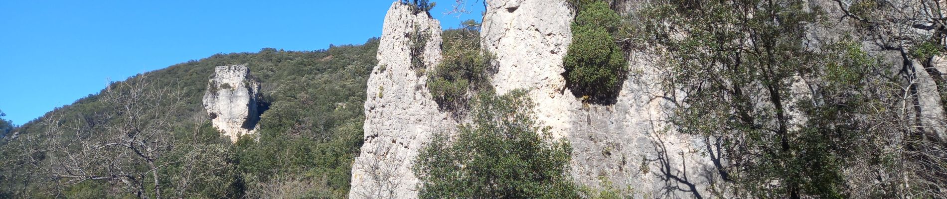 Trail Walking Signes - Aiguilles de Valbelle - Photo