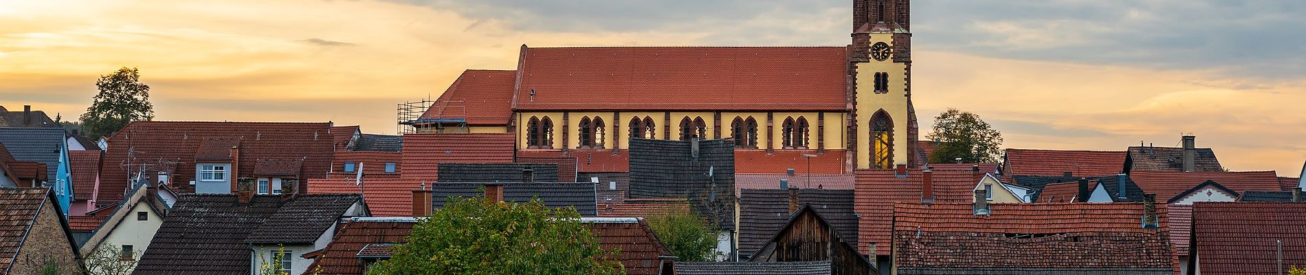 Tour Zu Fuß Waibstadt - Rundwanderweg Waibstadt 5: Forlen-Weg - Photo