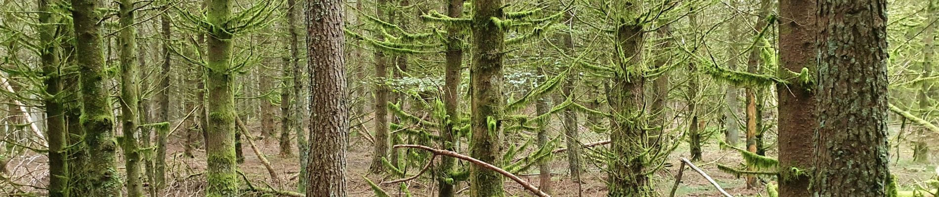 Tour Wandern Breitenbach - rdpr col de la charbonniere 211012 - Photo