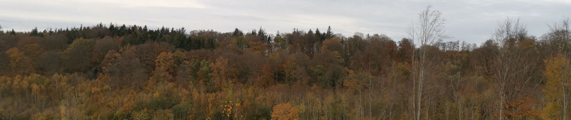 Tocht Stappen Envermeu - envermeu le bucq st sulpice breuilly - Photo