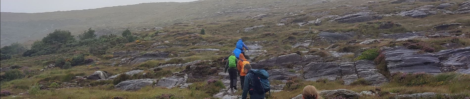 Tour Wandern West Cork - Ardgroom -  Eyeries - Photo