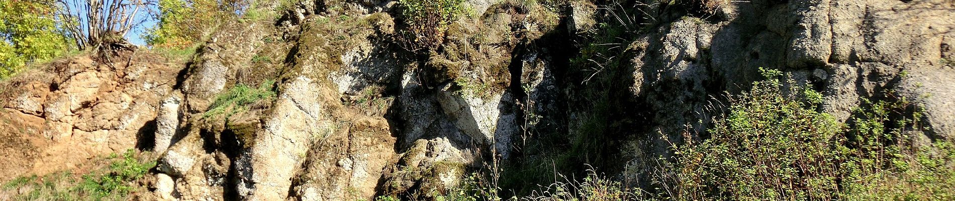 Percorso A piedi Kemnath - Waldeck Rundweg 