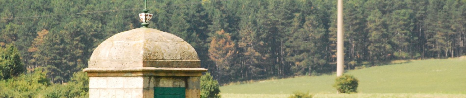 Excursión A pie Gemeinde Neunkirchen - Laufstrecke Föhrenwald 1 - Photo